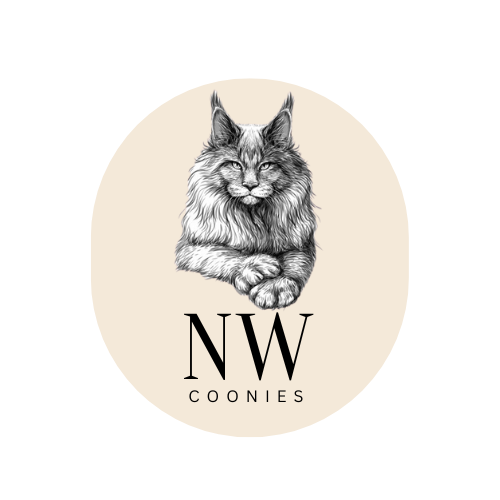 Beige round logo displaying a realistic drawing of a Maine Coon cat above the words 'NW Coonies'.