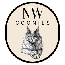Maine Coon Cats and Kittens Available! Located in Oregon logo