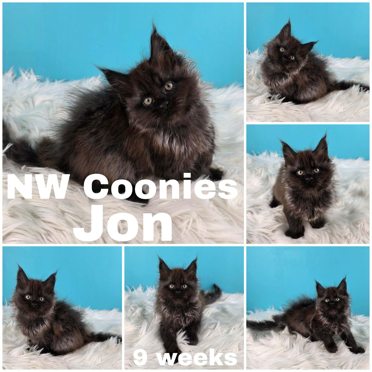 NW Coonies Jon