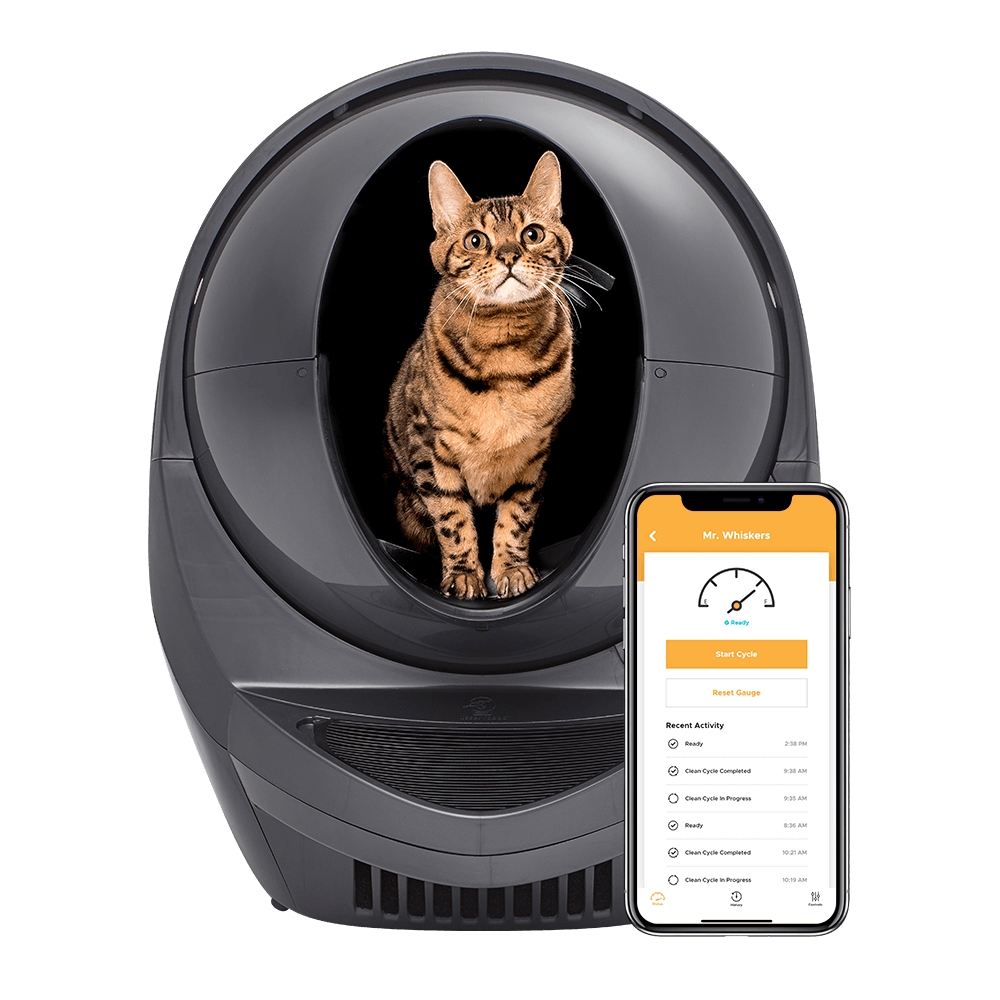 Tabby cat sitting inside an automatic self-cleaning litter box next to a smartphone displaying the connected app
