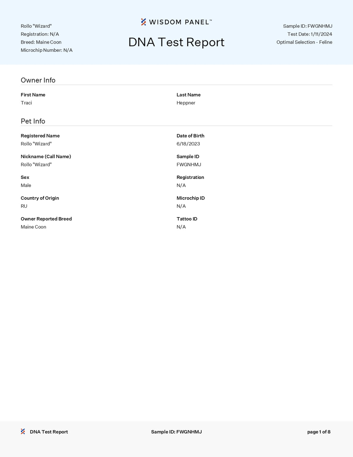 King Wizard - NW Coonies