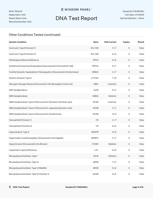 King Wizard - NW Coonies